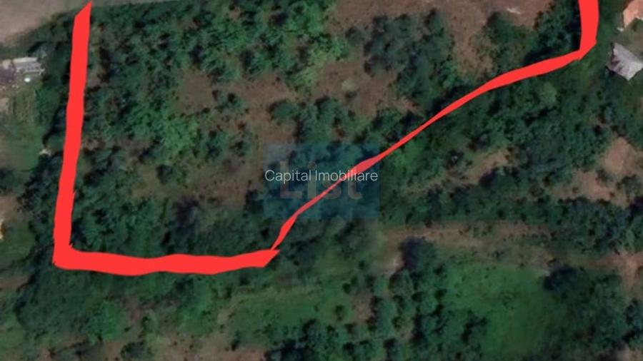 Teren Baia Sprie: 5143 mp, Parcelabil, Comision 0! - 8