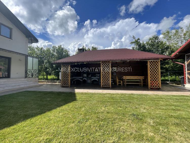 Cornu de Jos  Doua  case moderne, crama la subsol, prosumator - 36