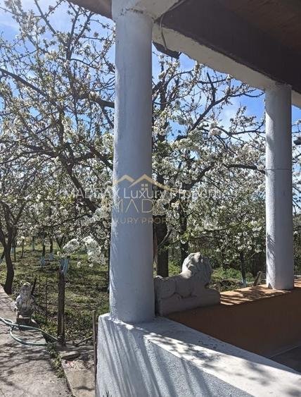 Vila 9 camere***gradina cu pomi fructiferi//1085 mp teren***Dragomiresti-Deal - 3