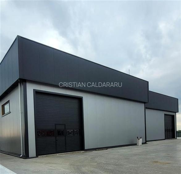 Vanzare depozit/hala/spatiu industrial Domnesti - Centura, Ilfov - 3