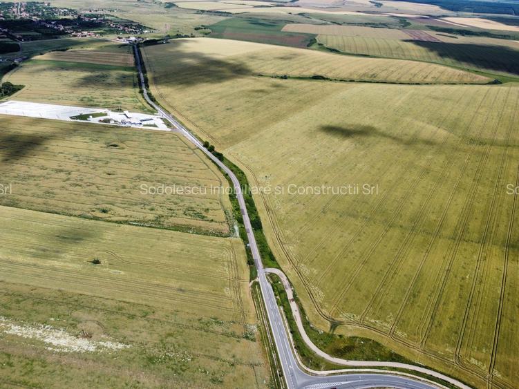 Teren la sosea Ortisoara - Autostrada A1 - 14