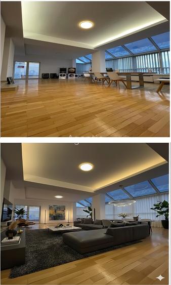 Penthouse Unic pe Bulevardul Unirii, 265 mp  - 2