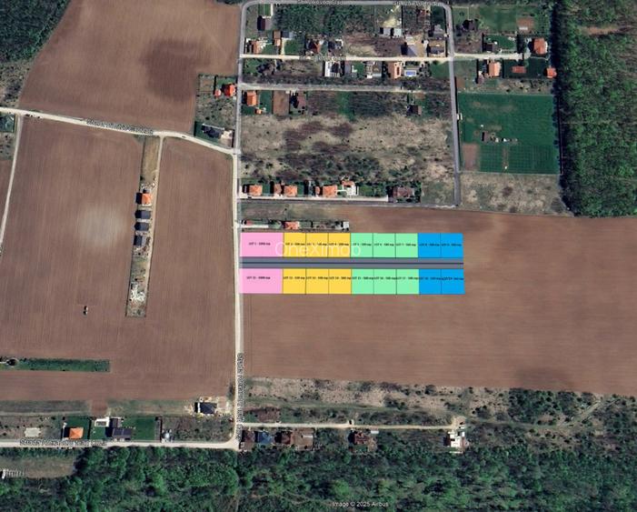 The Forest Collection - 500 mp | Padurea Snagov - Ciofliceni | COMISION 0% - 3