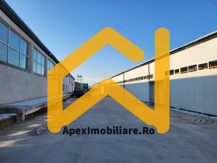Hala Industriala Xenia – 1800 mp, Acces TIR, Parcare 50 Auto - 8