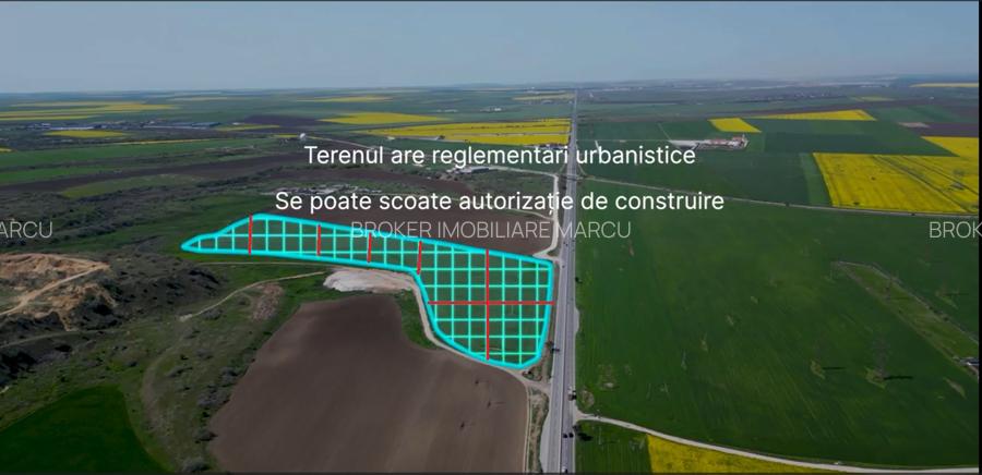 Teren 5000 mp Ovidiu - 5