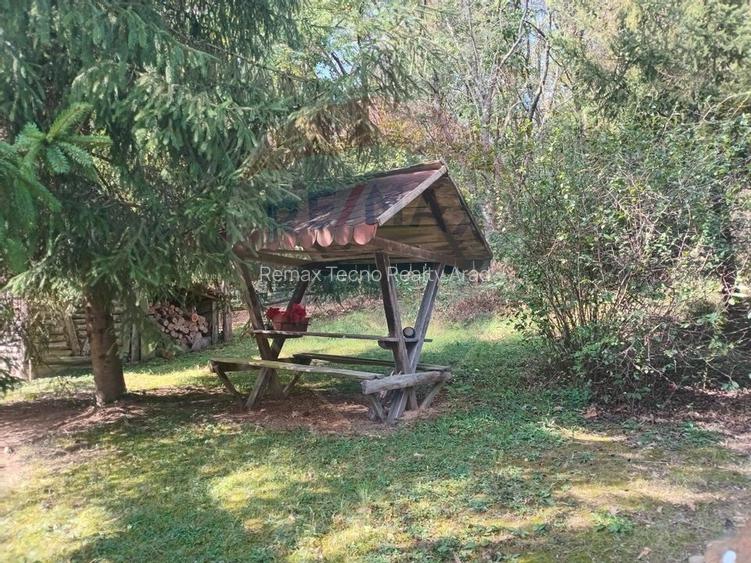 OCAZIE!!! CASA SUPERBA cu teren in JULITA jud Arad in M tii Zarandului - 36