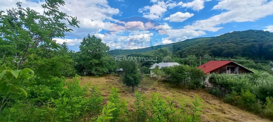 Teren Intravilan de vanzare 3551mp Poiana Copaceni Com Gura Vitioarei - 12