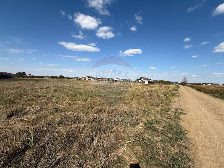 Vand teren intravilan 5000 mp in Sabareni - 3