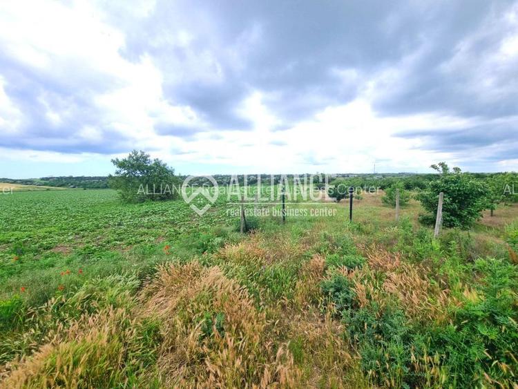 OVIDIU (COD 02)  - teren extravilan 4000 mp - 5