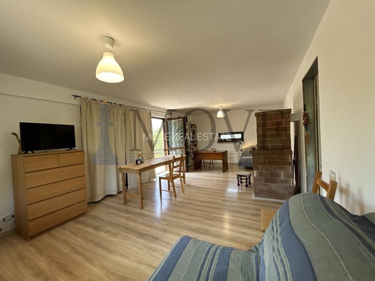 BELCIUGATELE- Casă de vacanță sau locuință permanentă - 21