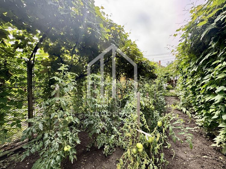 Casa individuala, 505mp teren, pivnita, acces auto, zona Centrala - 12