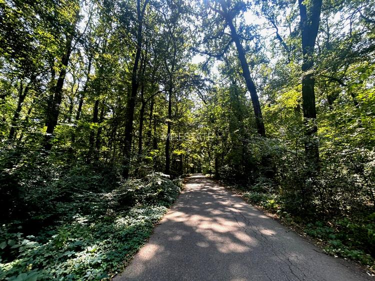 Teren de Vis pe malul lacului Snagov / 4000 mp in inima Naturii /40 m deschidere - 6