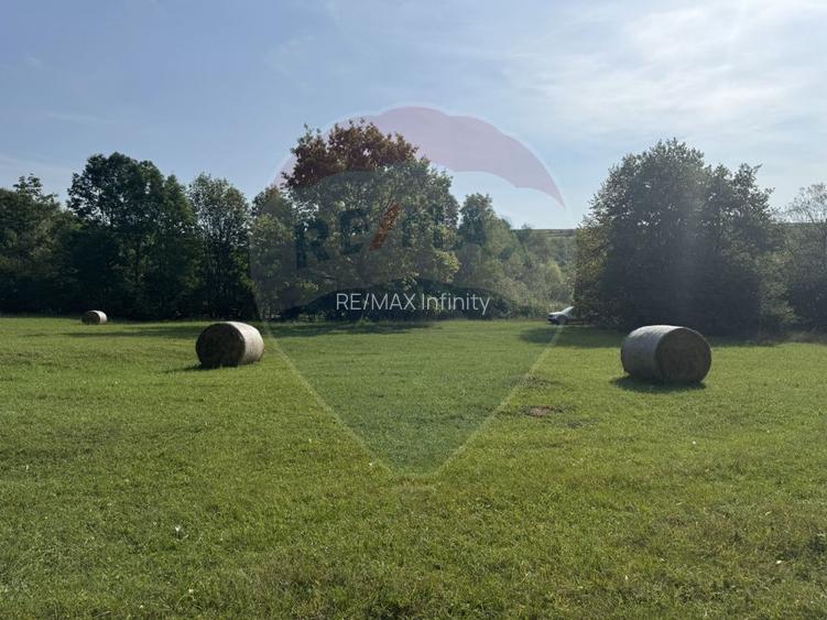 Teren 10.000 mp Calatele – Apuseni, langa rau, ideal investitie turism - 7