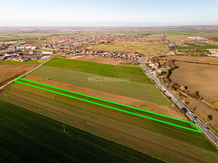 RECO teren 5000mp cu dechidere la DN19 Tamaseu - 6
