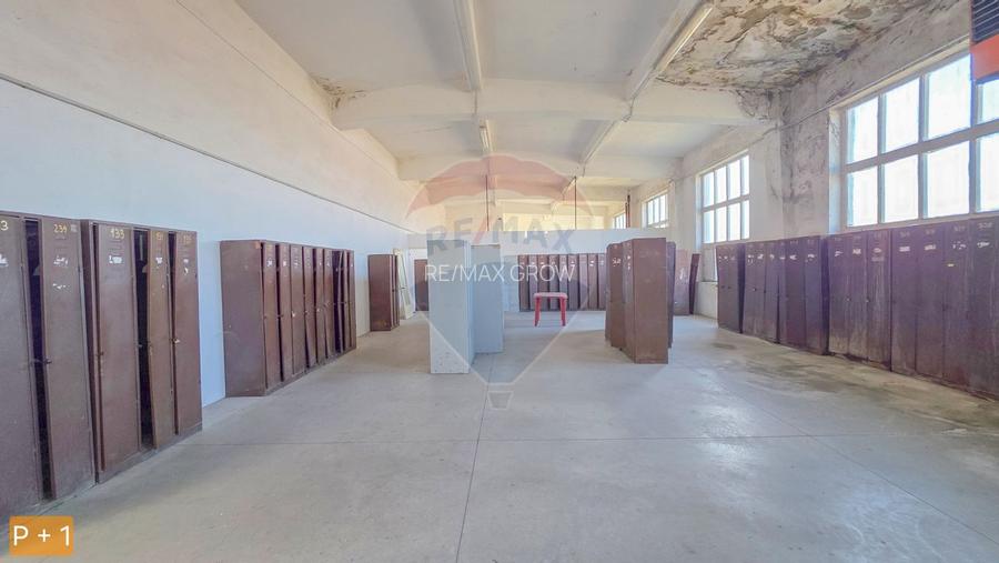 De vanzare spatiu industrial in Turnu Magurele - Teleorman - 28