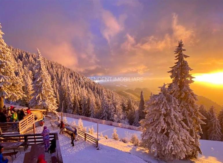 Film! Resedinta eleganta, accesorizata, in frumoasa statiune Poiana Brasov. - 2