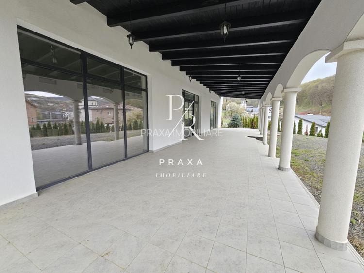 EXCLUSIVITATE! Restaurant de vanzare, Mobilat/Utiliat, 565 mp,cu teren 5.000 mp! - 7
