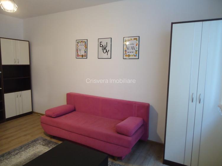 Apartament 1 camera Manastur, str. Padin, zona Piata Flora, decomandat - 10