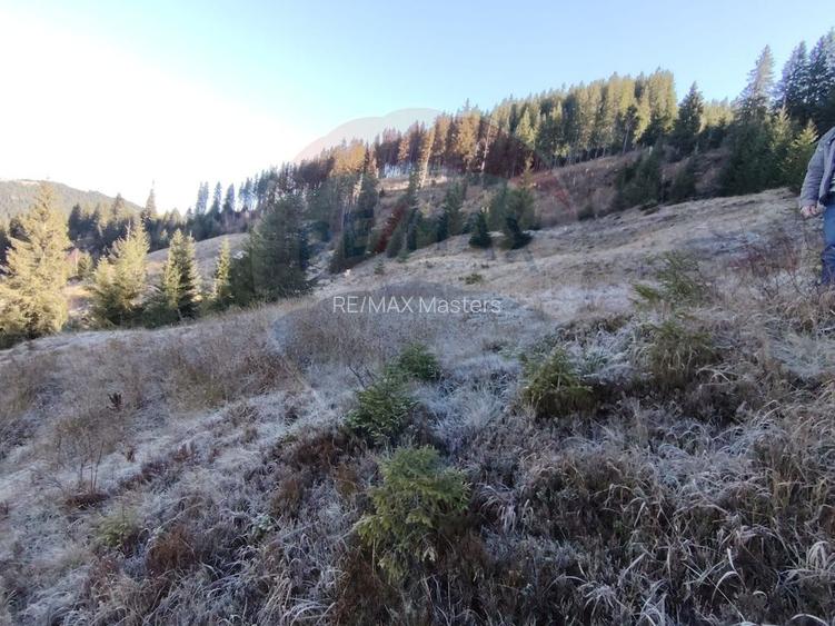 Teren 31,461mp Panaci / Prelungirea Ialovita - 10