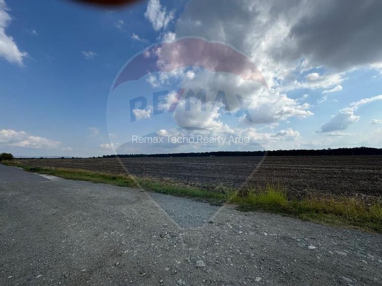 Teren intravilan 577 mp Vladimirescu - 3