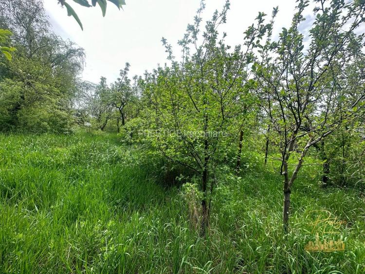 Casa renovabila cu teren generos de 700 mp in zona Garii - Oradea - 8