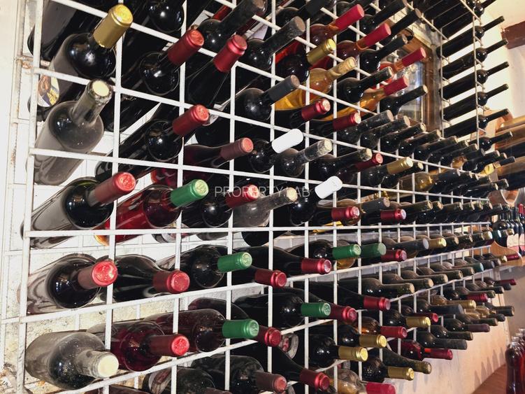 Vie Tradițională „Halta Lupilor” - 13