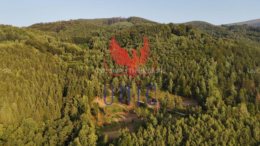 18000 mp de natura pura ,Lupeni, langa Straja - 22