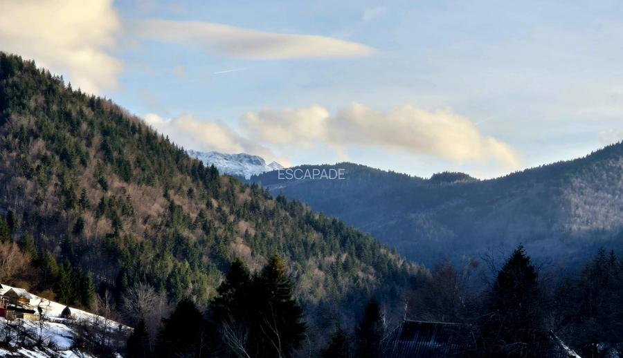 Teren intravilan Simon/Bran, 4318 mp , casuta intabulata, utilitati - 19