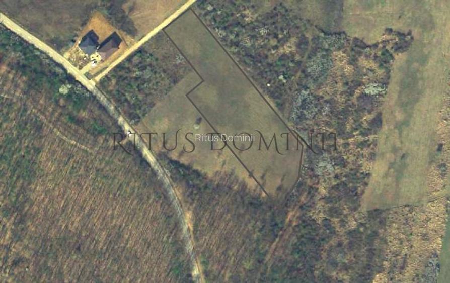 Teren Intravilan Parcelare, Lac Paleu, 8592mp, Deschidere 32ml - 1