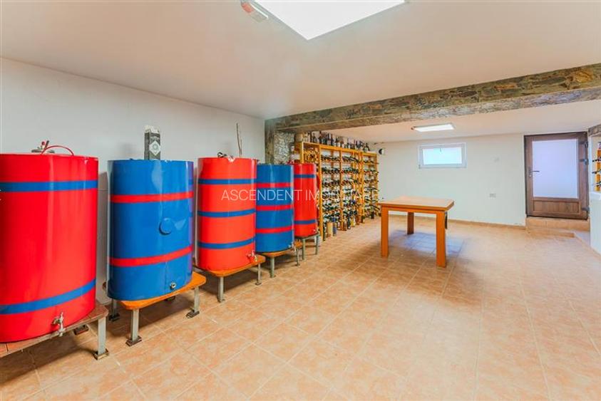 FILM! Resedinta cu identitate arhitecturala, 700mp teren, garaj 4X, Tractorul, B - 25