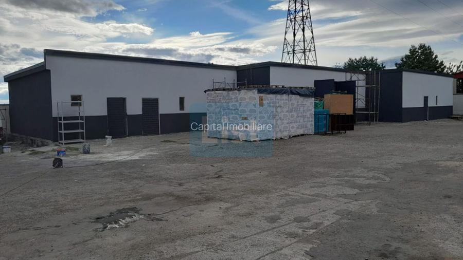 Spatiu industrial de vanzare, 8120 mp, Neamt - 13