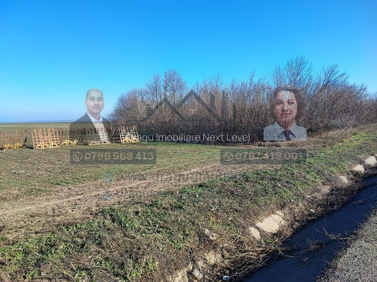 Teren 5000 mp, ieșire din Tecuci, după Peco Gălbenuș - 2