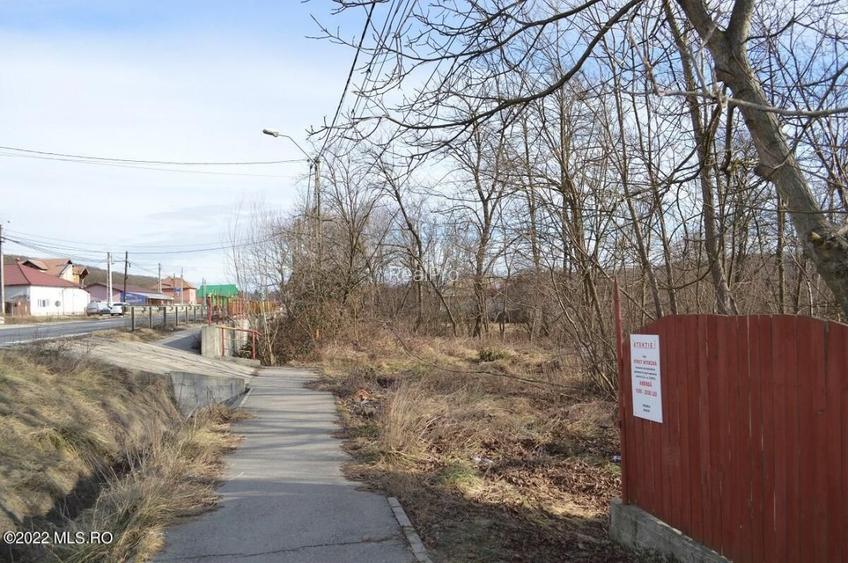 Valea Ursului - DN 7, Teren Stradal 2744 mp! - 3