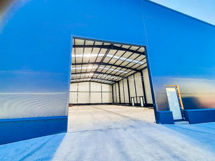 Hale,spatii industriale Albota,Pitesti Arges - 20