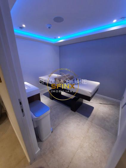 Kiseleff, rental, pet friendly, 5 rooms, 241 sqm, 84sqm terraces, 2 parking lots - 40