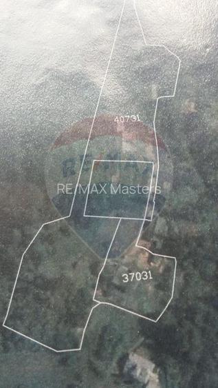 Vila / Pensiune cu 20 camere de vânzare în Câmpulung Moldovenesc, SV - 6