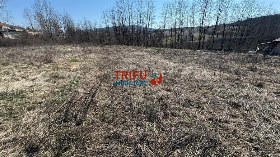 Teren 675 mp | Comuna Ciugud (Teleac) | Oază de liniște