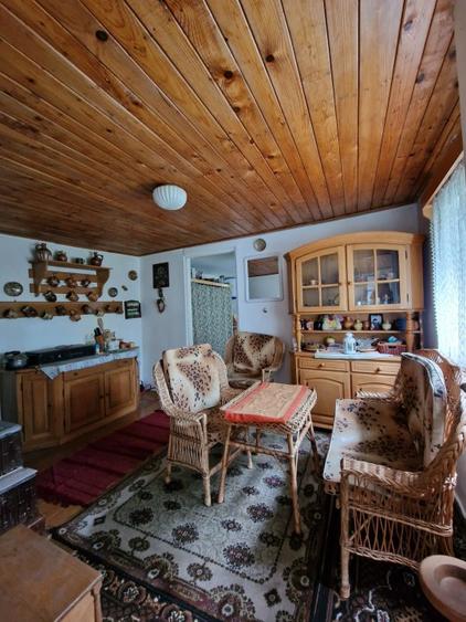Balilesti - Stradal, casa spatioasa, 4600 mp teren intravilan - curte spatioasa