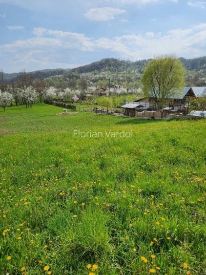 Teren vanzare in comuna Adunati - zona BREAZA - Prahova - 2