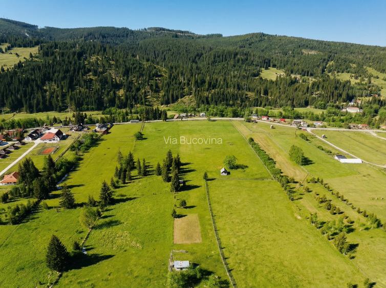 Vanzare 16700 - 9 loturi - Plaiul Sarului la sosea- microdezvoltare langa oras - 4