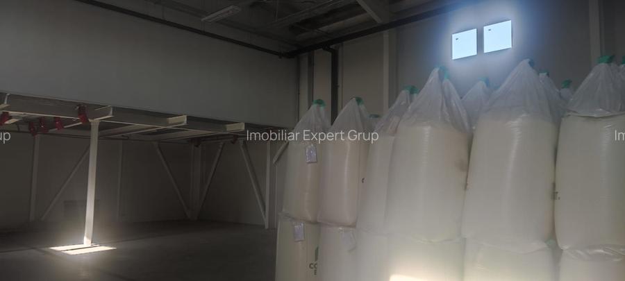 Hala Buftea DN 1A   1278 mp pe Teren 5000 mp Chilipir - 9