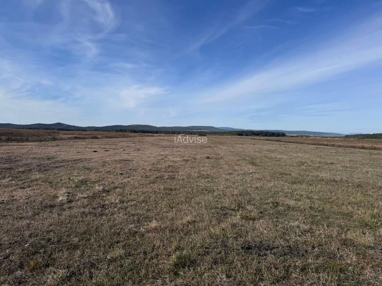 Teren de vanzare in Harman 4,4 Hectare - 9