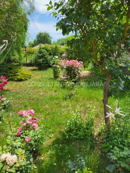 Casa P+M  5 camere + o garsoniera Jud Teleorman  la 49 km de Bucuresti - 3