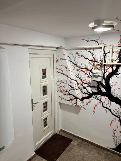 Apartament centru Drobeta  - 13