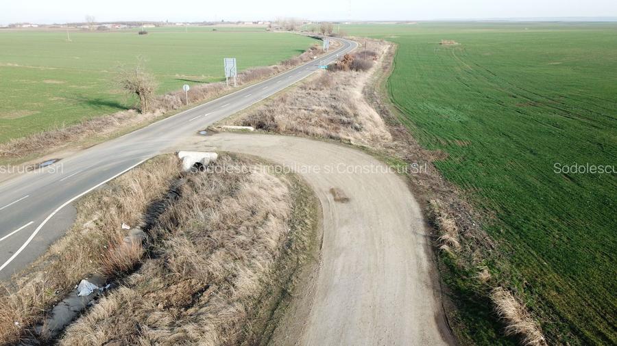 Teren la sosea Ortisoara - Autostrada A1 - 8