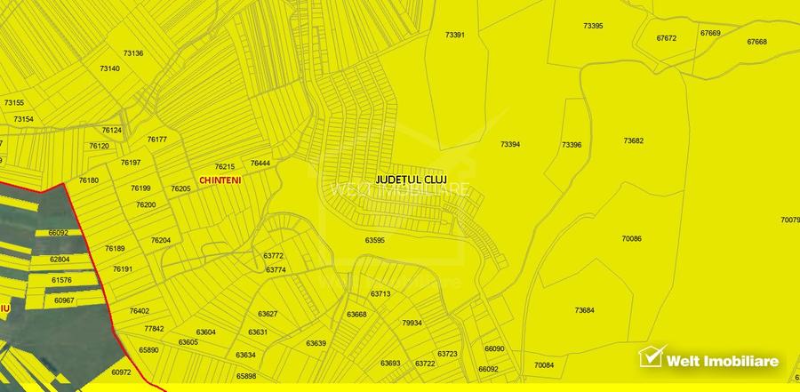 Teren de vanzare 5800mp, Front la lac Chinteni, oportunitate investitie  - 3