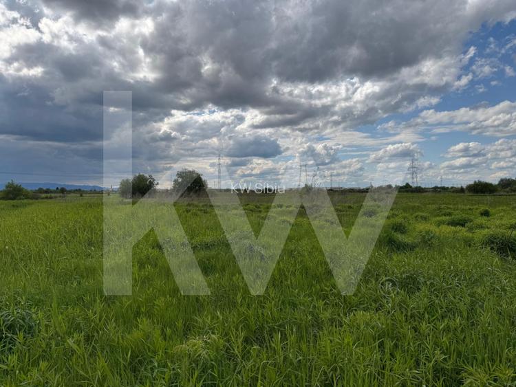 Teren extravilan arabil de vanzare – Bungard, Șelimbar - 6