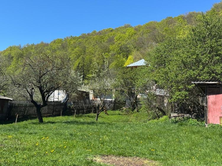 Teren 1.002 mp lângă Manastirea Namaesti - 8