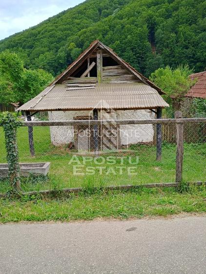 Casa batraneasca de vanzare, 4 camere, in Hunedoara, sat Micanesti - 29