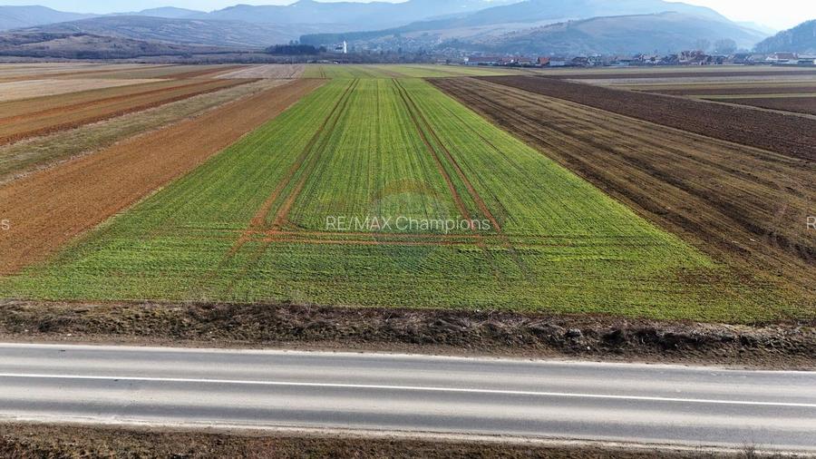 Teren extravilan | 14,600mp | Tărlungeni - 6